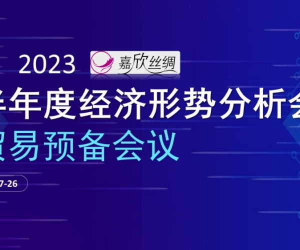 商业总额稳固，，商业质量提升 AG8亚洲游戏国际集团丝绸召开2023半年度经济形势剖析谈判业准备聚会