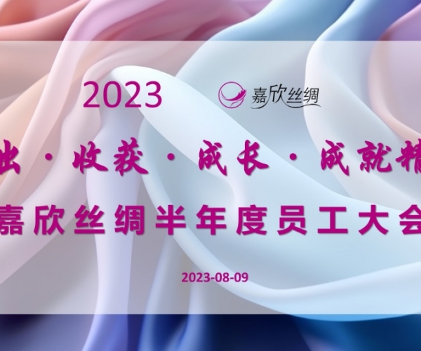 AG8亚洲游戏国际集团丝绸召开2023半年度员工大会