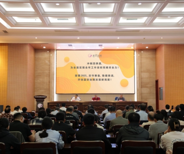 AG8亚洲游戏国际集团丝绸2024年三季度经济形势剖析会顺遂召开