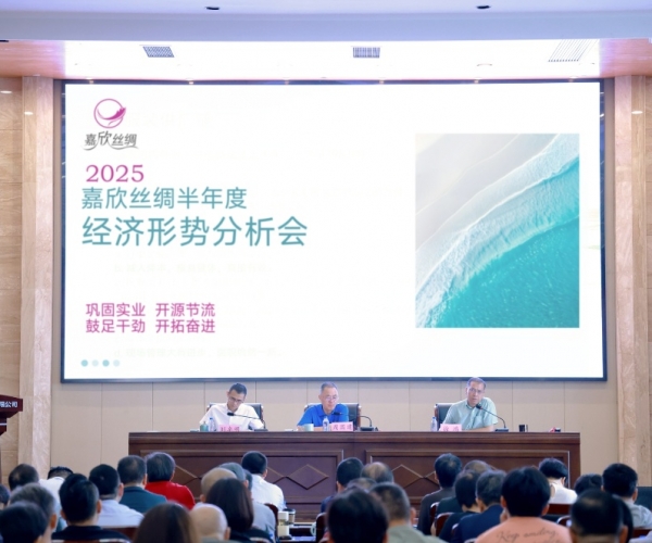 AG8亚洲游戏国际集团丝绸2025半年度经济形势剖析会顺遂召开