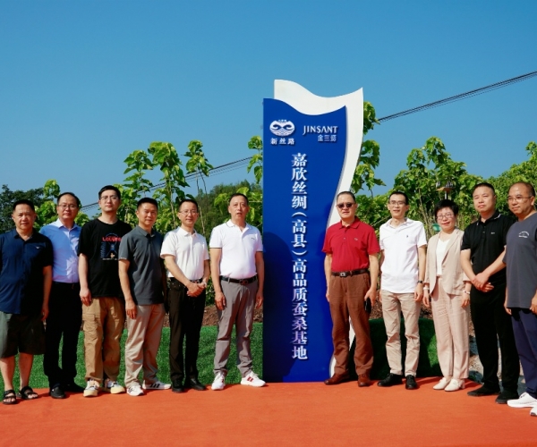 AG8亚洲游戏国际集团丝绸（高县）高品质蚕；卣浇遗！！